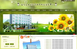 嵊州專業(yè)網站建設與淘寶網店裝修一站式服務